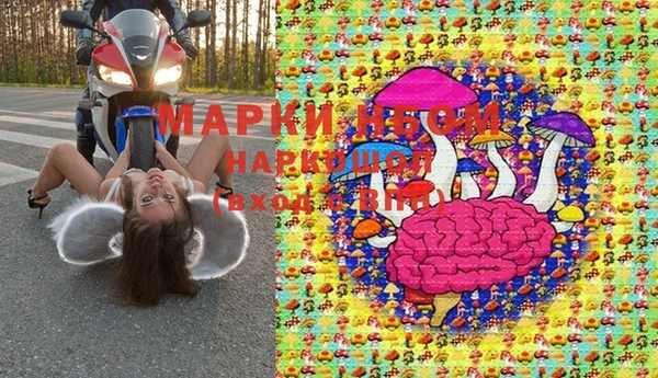 молекула духа Кинешма