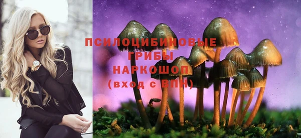 соль курить ск Карпинск
