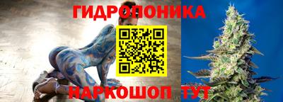 шишки Рыбинск