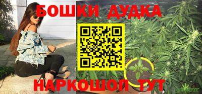 шишки Рыбинск
