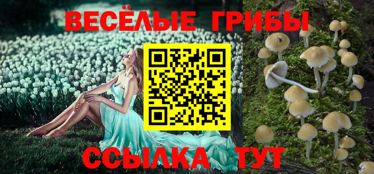 Псилоцибиновые грибы мухоморы  Вход с VPN  Псилоцибиновые грибы MAGIC MUSHROOMS  Канск 