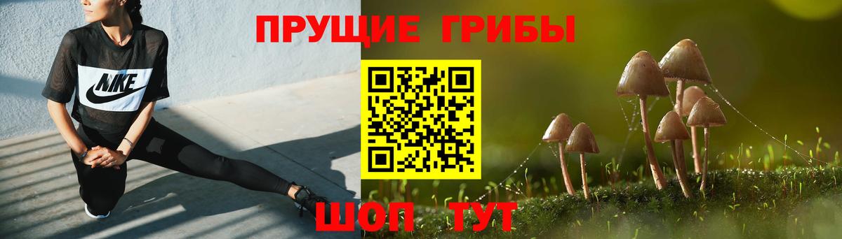Галлюциногенные грибы Cubensis Канск
